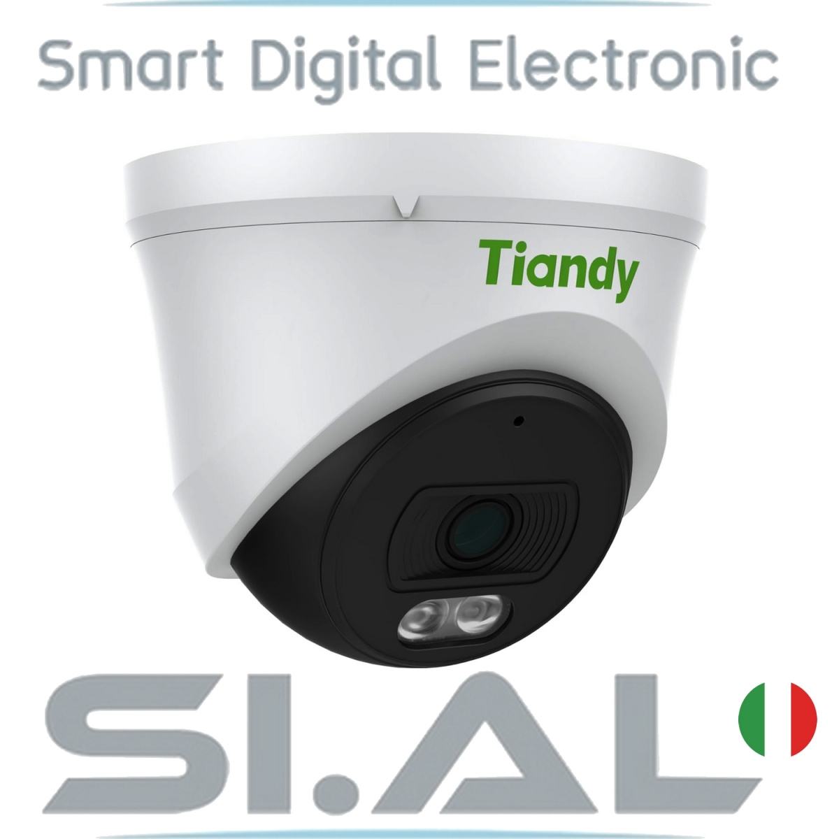 0529L Turret telecamera ip tiandy 